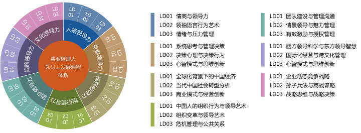 高级管理者领导力发展课程体系