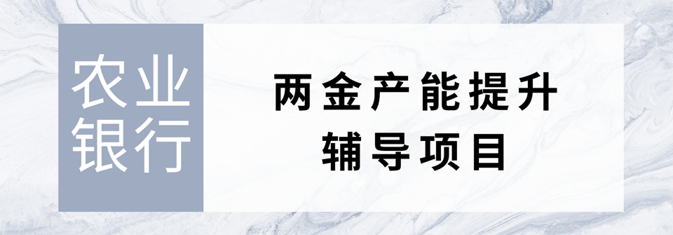 农业银行两金产能提升辅导项目